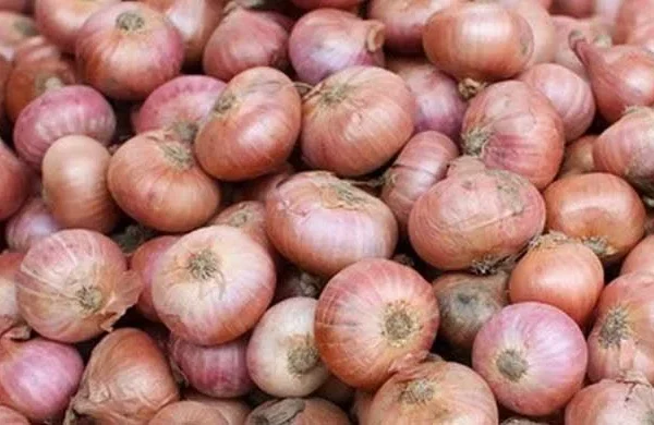 দেশি পেয়াজ