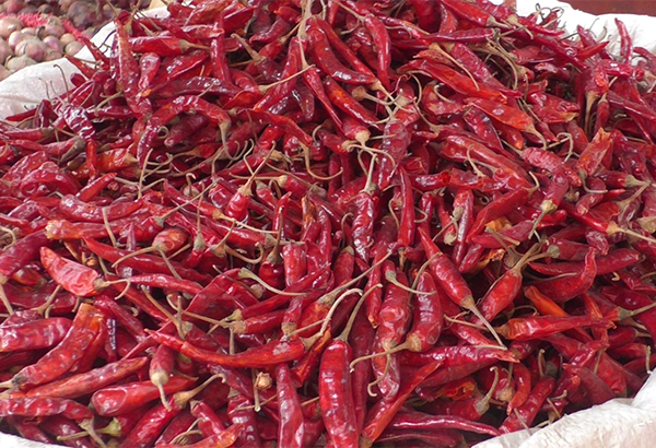 হাইব্রিড শুকনো মরিচ