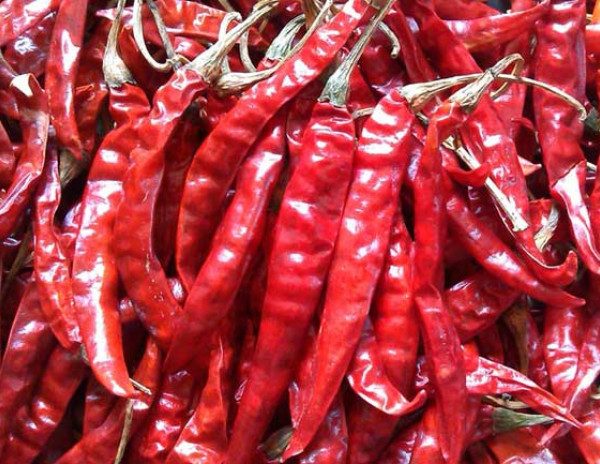 দেশি শুকনা লাল মরিচ
