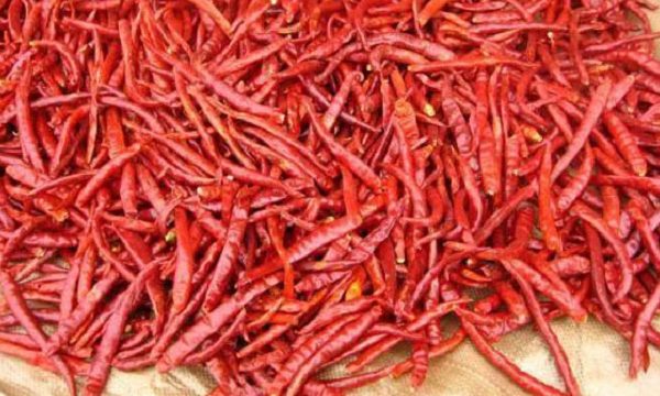 ভারতীয় শুকনা মরিচ